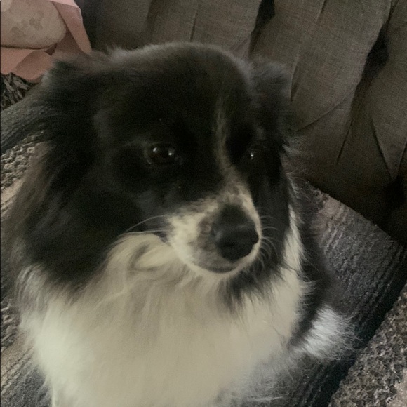 Meet your Posher, Jill - Picture 1 of 1